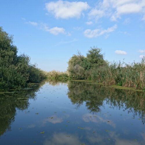 canal Mocansca canal Mocansca